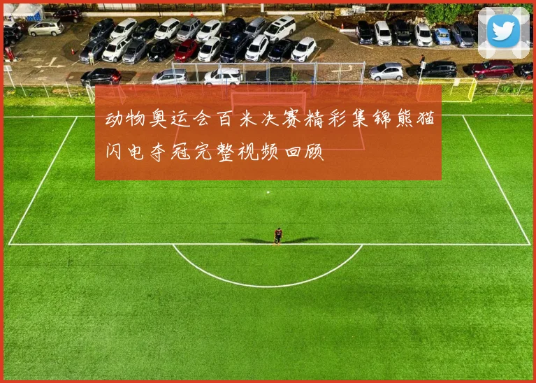 动物奥运会百米决赛精彩集锦熊猫闪电夺冠完整视频回顾