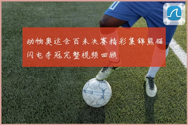 动物奥运会百米决赛精彩集锦熊猫闪电夺冠完整视频回顾