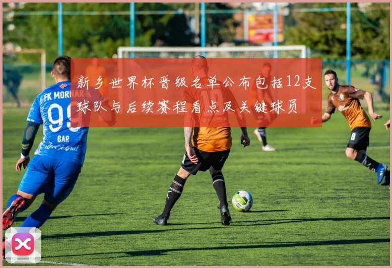 新乡世界杯晋级名单公布包括12支球队与后续赛程看点及关键球员