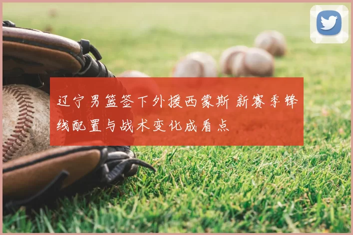 辽宁男篮签下外援西蒙斯 新赛季锋线配置与战术变化成看点