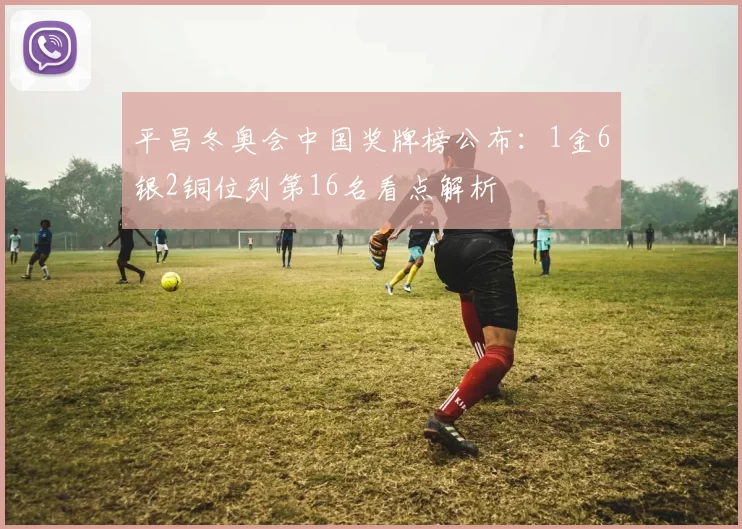 平昌冬奥会中国奖牌榜公布：1金6银2铜位列第16名看点解析