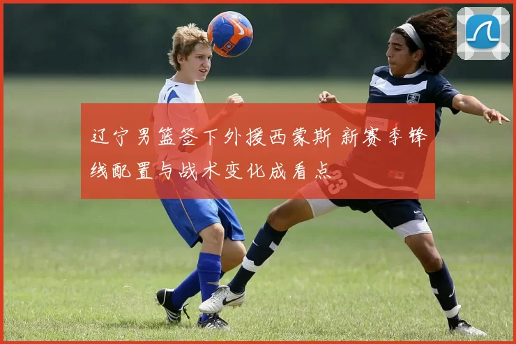 辽宁男篮签下外援西蒙斯 新赛季锋线配置与战术变化成看点