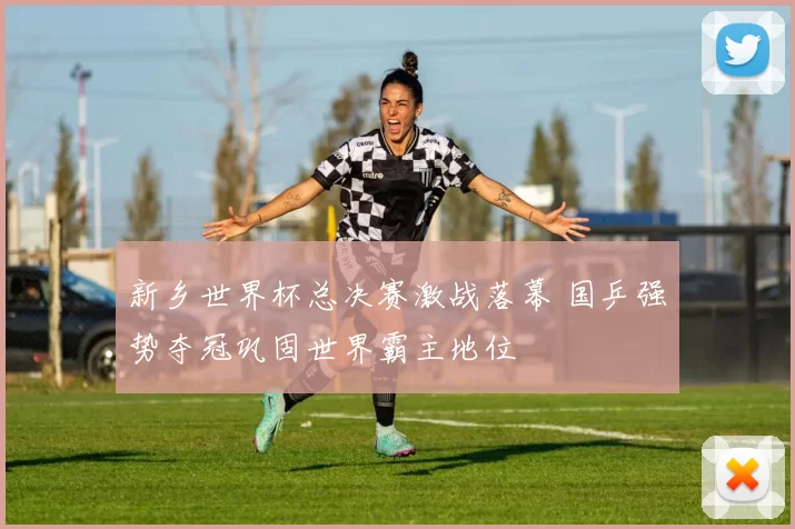 新乡世界杯总决赛激战落幕 国乒强势夺冠巩固世界霸主地位